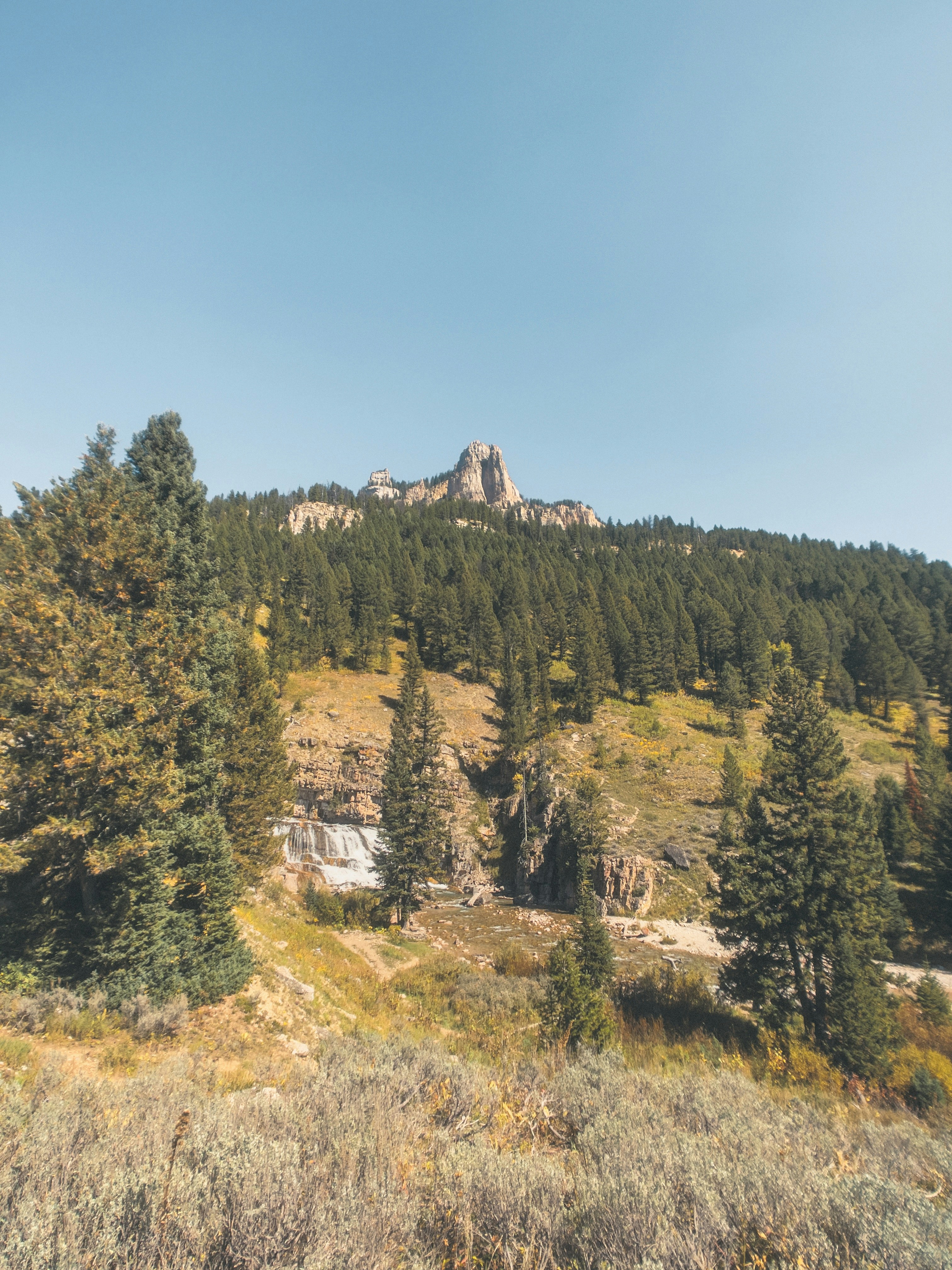 david-whipple-R07a2eVy-ac-unsplash