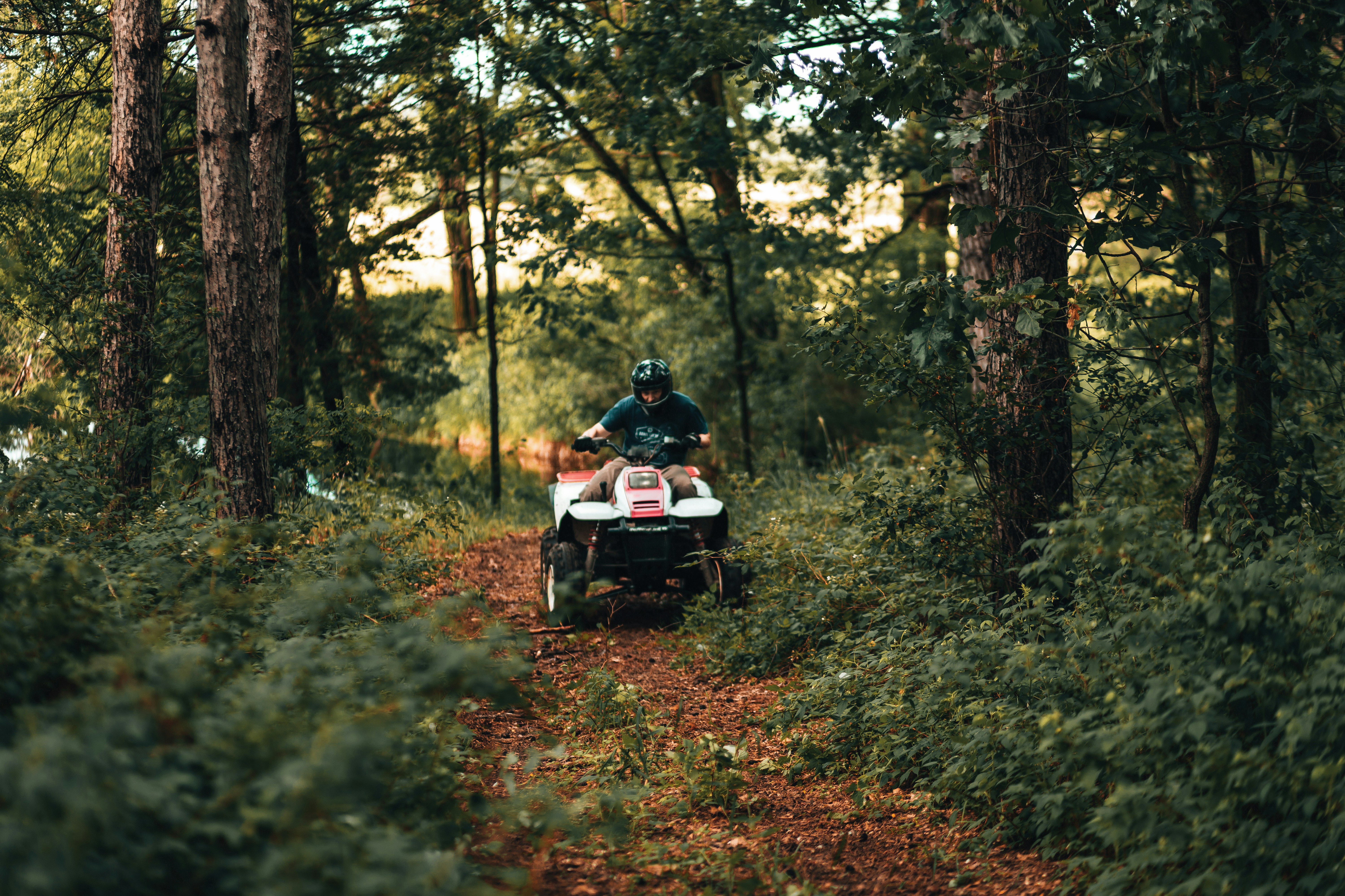 joshua-hanson-zCRzigSZsRs-unsplash