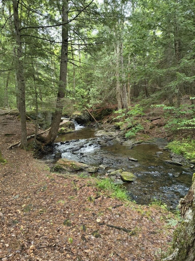 maine3