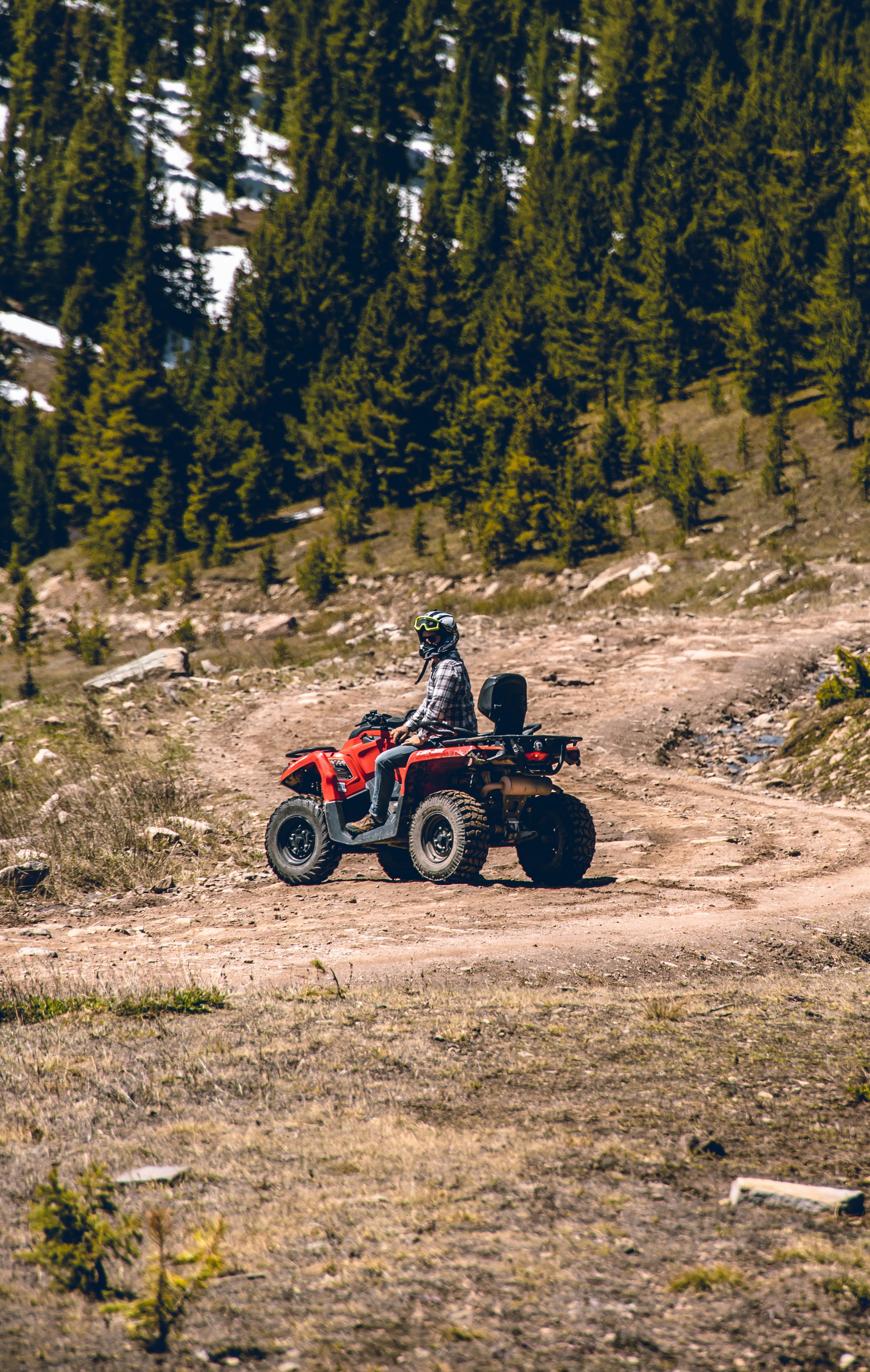 tyler-delgado-xi8Jmp84hn0-unsplash